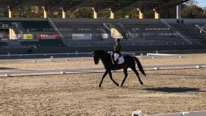 Bajnok avatással zárta az évet a Kéktói Ménes