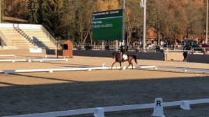 Bajnok avatással zárta az évet a Kéktói Ménes