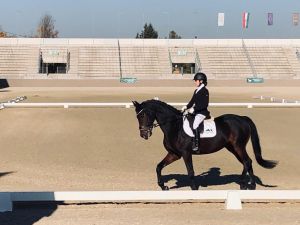 Bajnok avatással zárta az évet a Kéktói Ménes