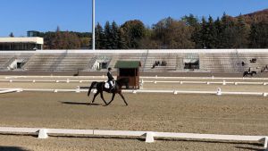 Bajnok avatással zárta az évet a Kéktói Ménes