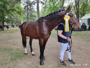 Kéktói ménes díjazott lovai...