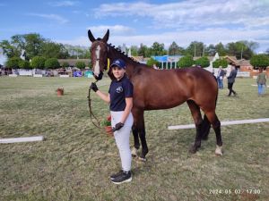 Kéktói ménes díjazott lovai...