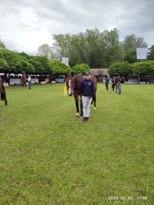 Kéktói ménes díjazott lovai...