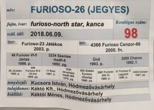 Kéktói ménes díjazott lovai...