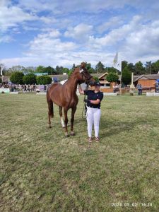 Kéktói ménes díjazott lovai...