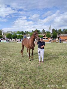 Kéktói ménes díjazott lovai...