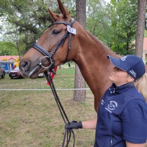 Kéktói ménes díjazott lovai...