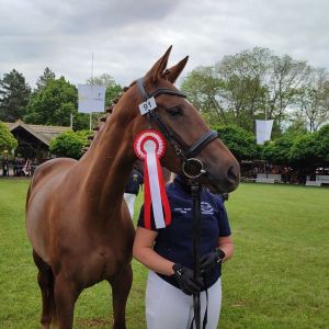 Kéktói ménes díjazott lovai...