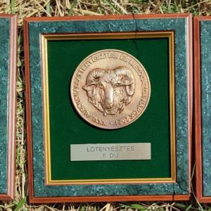 Kéktói ménes díjazott lovai...