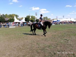 XXXVIII. Alföldi Állattenyésztési és Mezőgazda napok 2021.